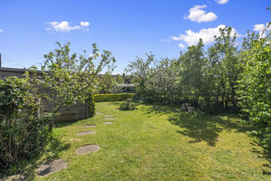 Photo 2- click for photo gallery